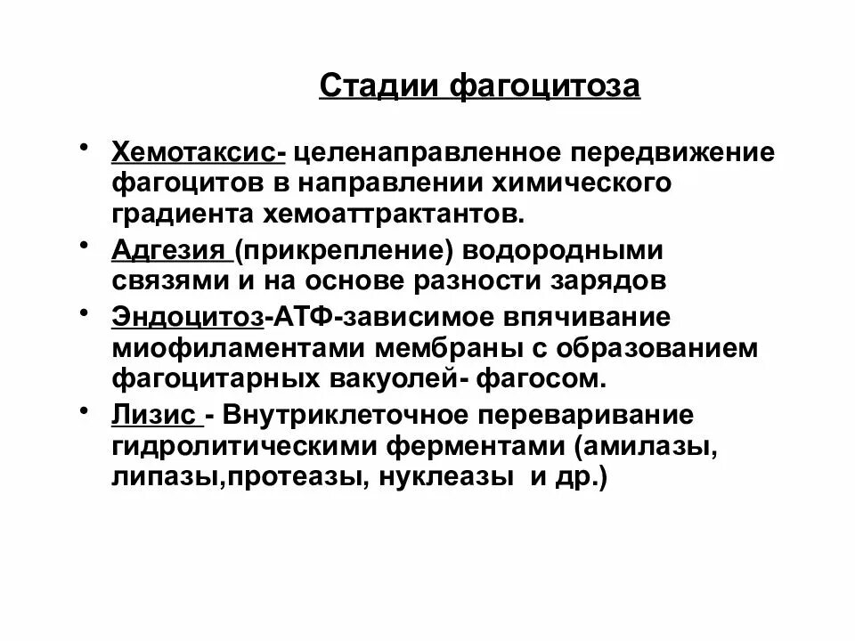 Стадии развития фагоцитоза патофизиология. Этапы процесса фагоцитоза иммунология. 4 Стадии фагоцитоза иммунология. Фагоцитоз при воспалении. Стадии, механизм.