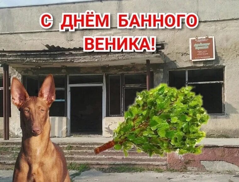 Глупые праздники