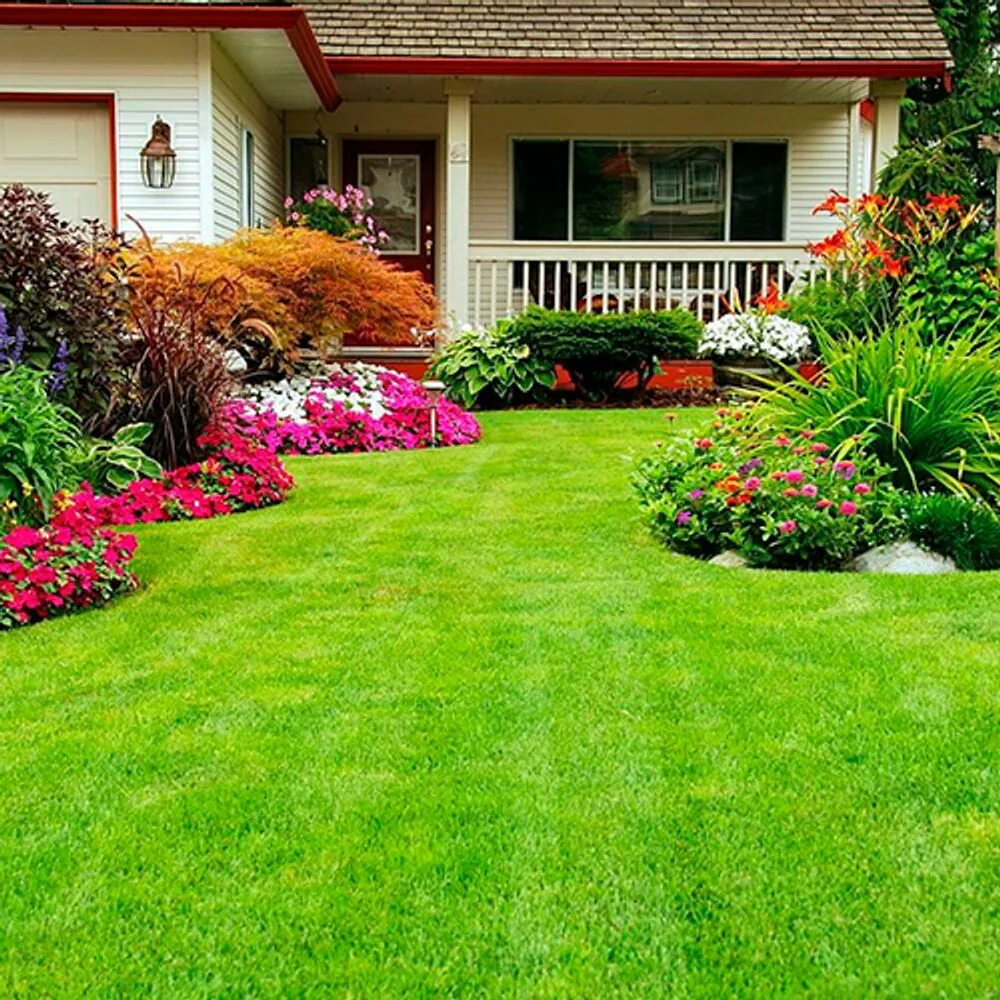 Сад трав. Дачный домик с газоном и цветами. Газон ландшафт ташкенте. Лужайки на дачном участке. Дск "пионер-юла макси".