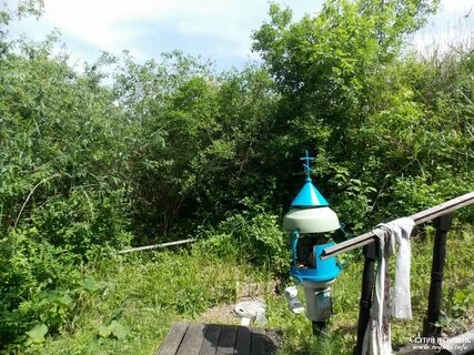 Село криница воронежская область