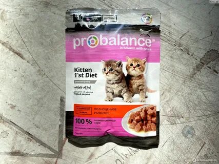 Корм для котят влажный probalance