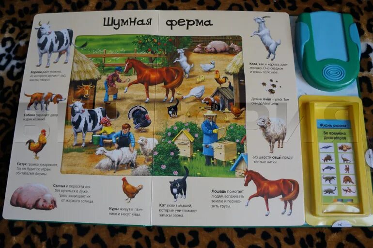 Сборник звуков животных. Книжка со звуками животных. книга звуки животных. детские книжки со звуками животных. книга детская со звуками животных.