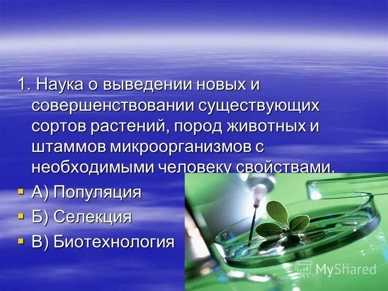 Задачи и основные методы селекции. Наука о выведении новых сортов растений пород животных и штаммов. Задачи селекции. Селекция штаммов микроорганизмов. Наука о выведении новых сортов растений пород животных.