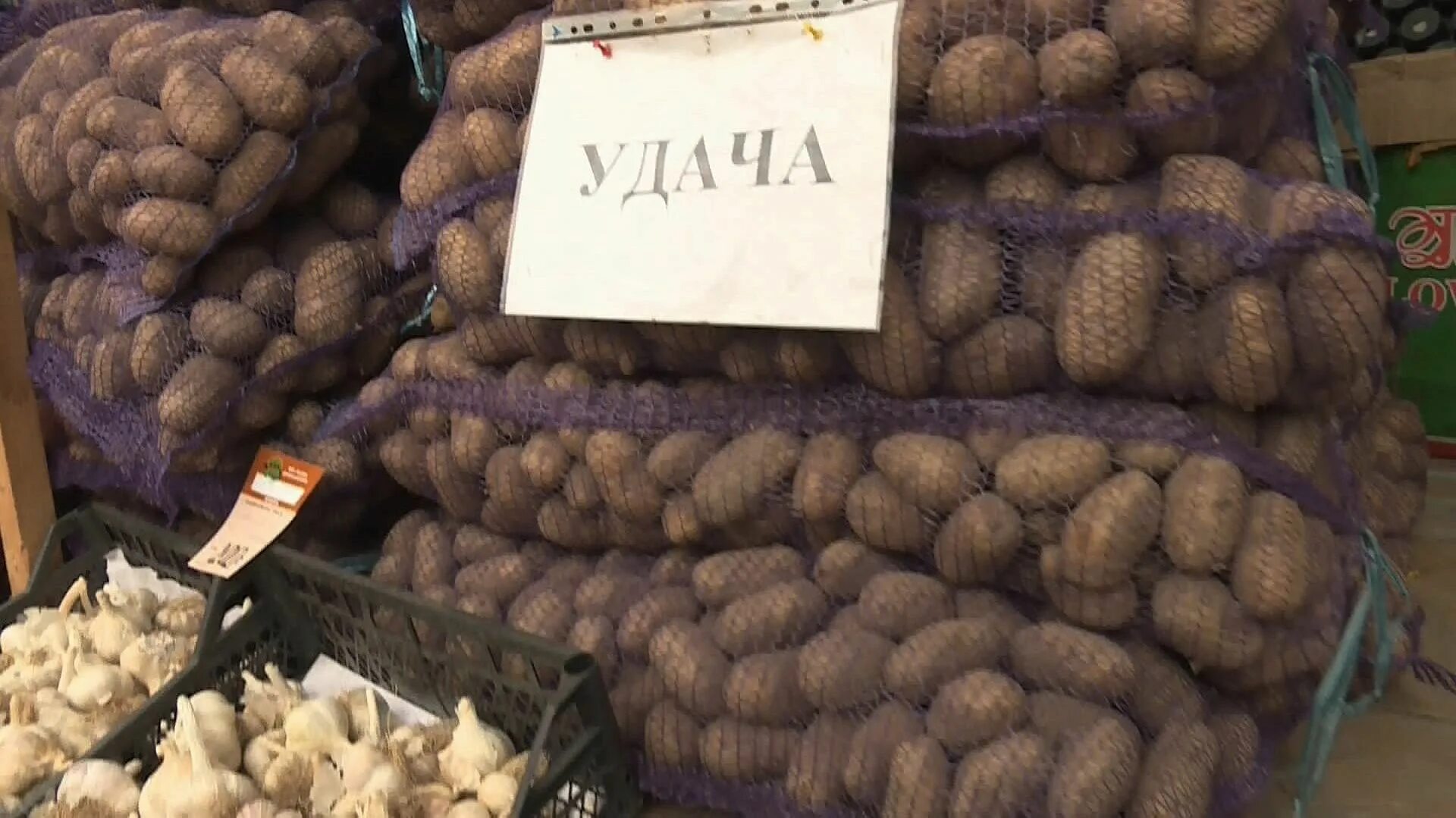 Сколько сейчас стоит картошка. Картошка в магазине. кг картофеля. картошка на рынке. килограмм картошки.