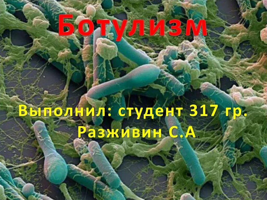 Бактерия ботулизма температура. Ботулизм бактерия. патогенез ботулизма. ботулизм систематика.