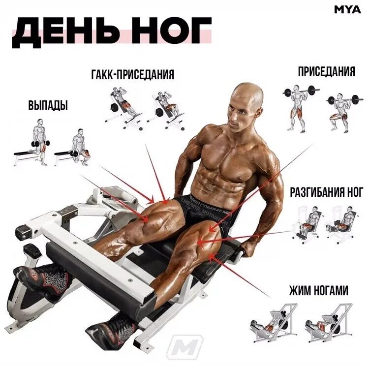 Тренировка ног в тренажерном зале для мужчин. Упражнения для мышц ног для мужчин в тренажерном зале. упражнения на ноги в тренажерном зале для мужчин. упражнения на ноги в зале для мужчин. тренировка ног в зале для мужчин.