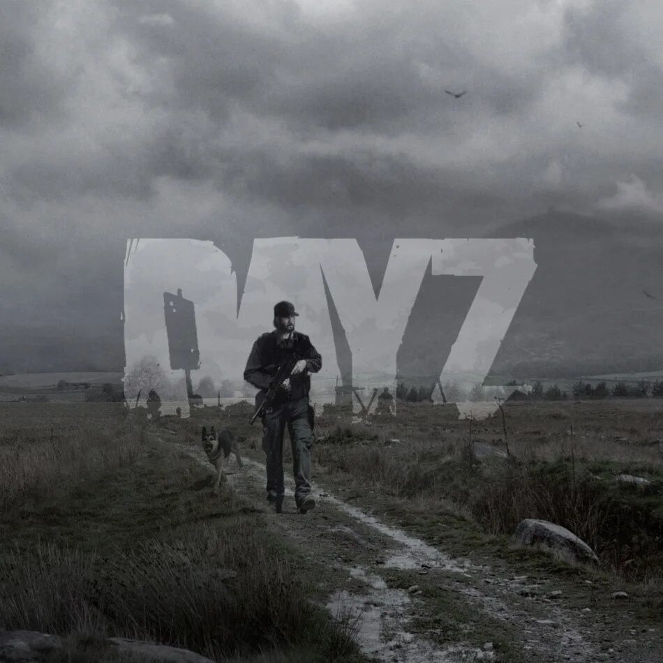 Dayz offline. DAYZ. Day z игра. DAYZ ава. DAYZ фон.