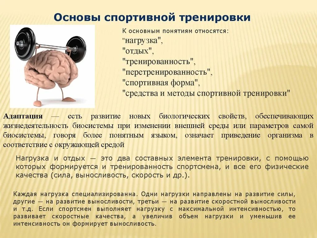 Формы тренированности. Основы спортивной тренировки. Методы спортивной тренировки. Основные методы спортивной тренировки. Основы спортивной тренировки презентация.