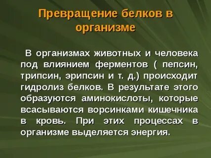 Превращение организма