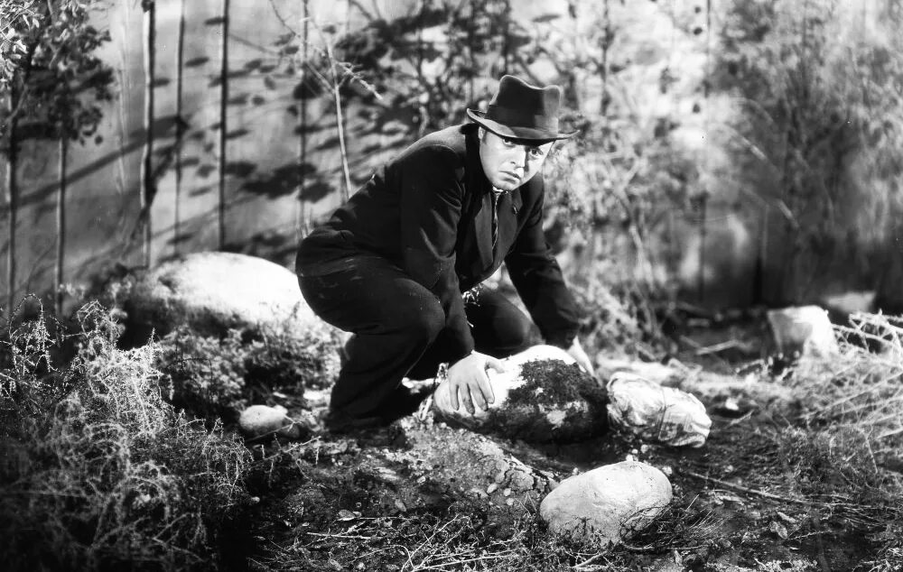 Раскольников преступление и наказание. Где раскольников прячет награбленное. Где раскольников прячет награбленное. Где раскольников прячет награбленное. Путь раскольникова по петербургу дои разумихина.