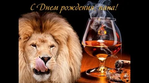 Поздравляем льва с днем рождения