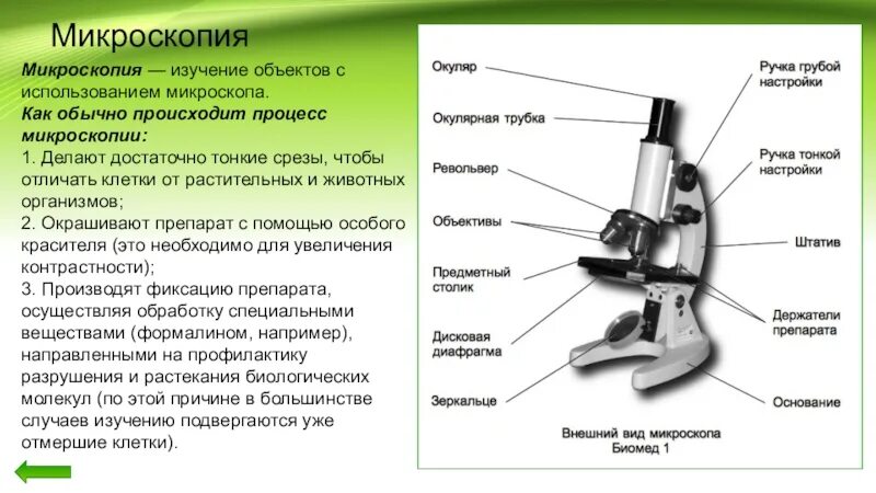 Световой микроскоп строение макровинт. Строение микроскопа. Макровинт у светового микроскопа. Оптический микроскоп строение.