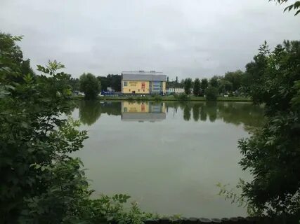 Погода в томилино