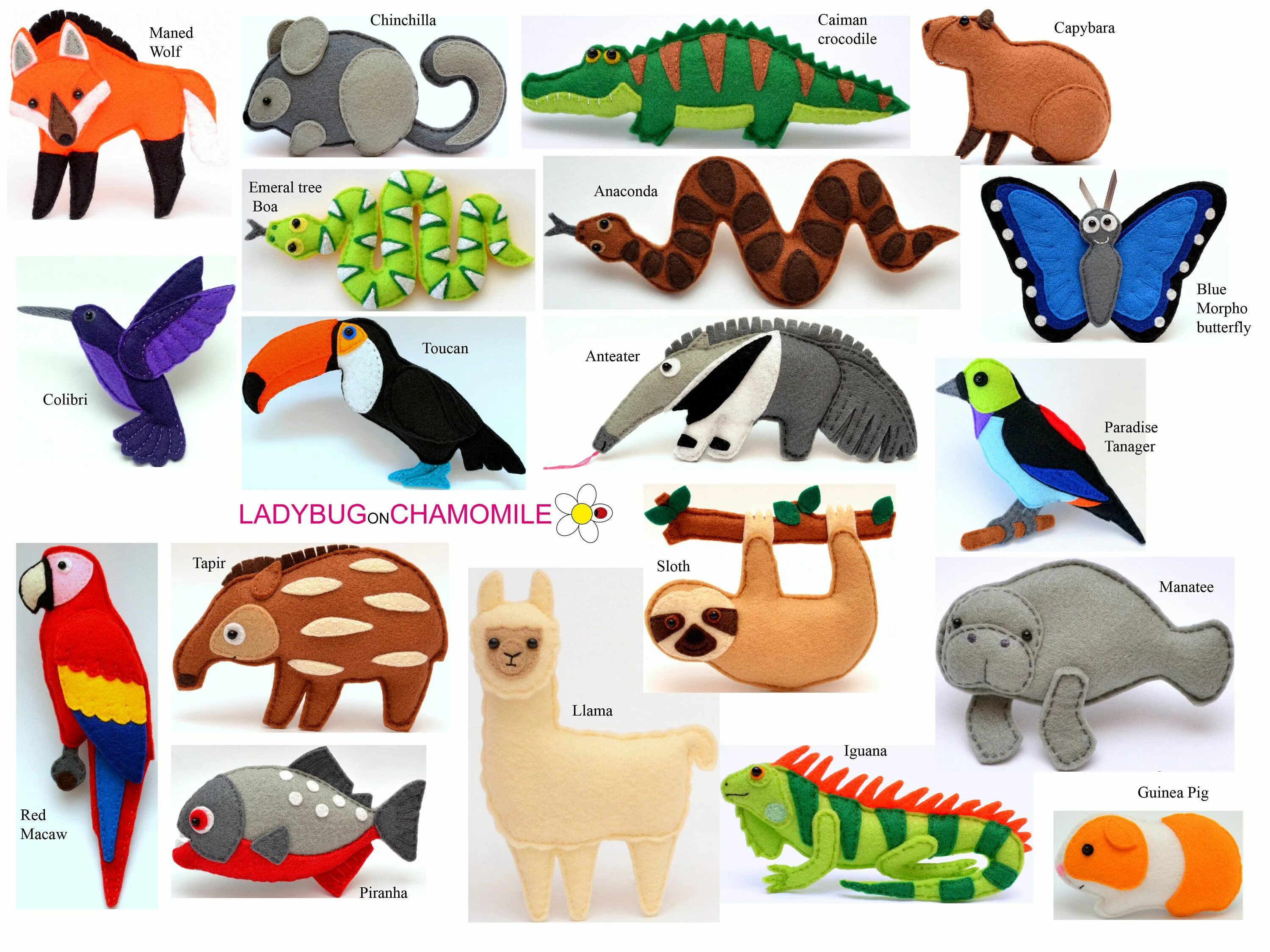Pros cons of keeping wild animals. Магниты морские животные для детей. south american animals. капибара игрушка из фетра. игрушки из бумаги капибара.