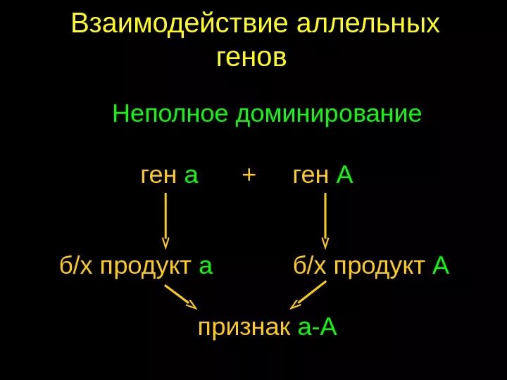 Типы взаимодействия аллельных генов. Виды взаимодействия аллельных генов примеры. Взаимодействие генов неполное доминирование. Аллельные гены и их взаимодействие.