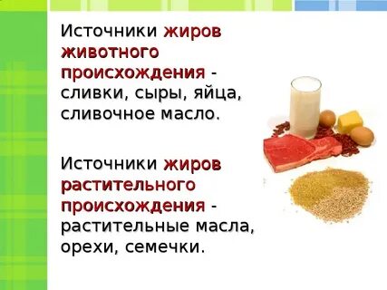 Жиры животного происхождения