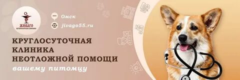 Ветеринарные клиники омска отзывы
