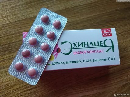 Биокор эхинацея