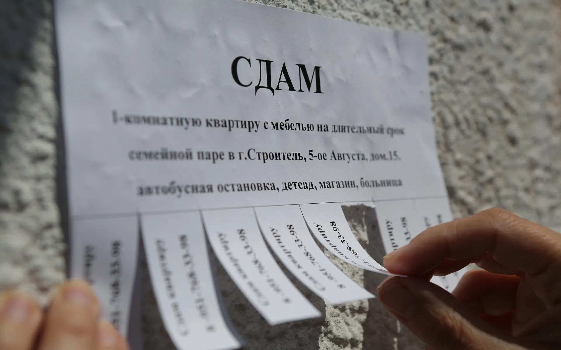 Объявление сниму комнату. Объявление о сдаче квартиры. объявление о сдачнкввртиры. объявление сдам квартиру. объявление о сдаче квартиры образец.