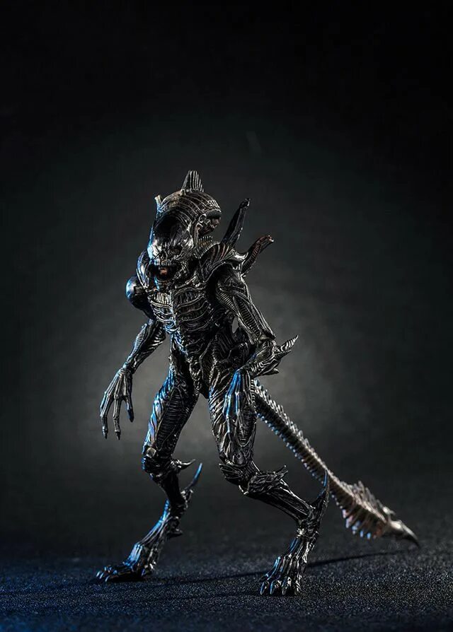Alien ксеноморф xenomorph. Alien crow. Aliens vs predator 2 чужой xenomorph арт. Ксеноморф рейвен. Королева чужих avp фильм 1.