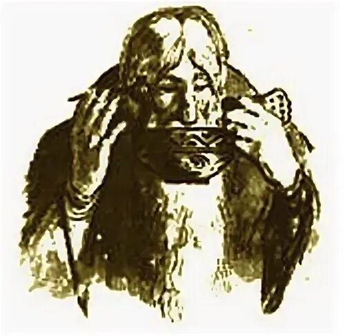 Чело лоб ланиты щеки
