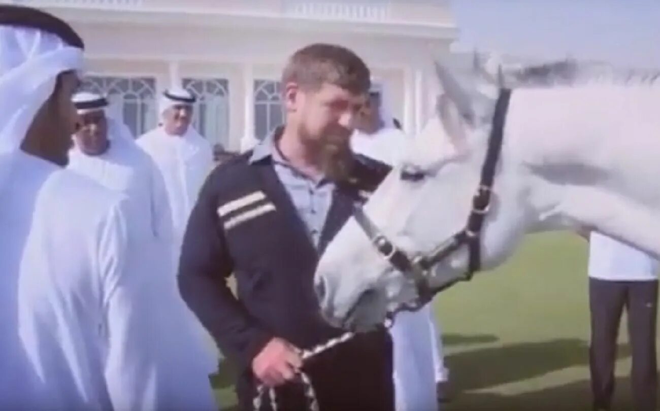 Кадыров и шейхи. Кадыров Дубай принц. Рамзан Кадыров и принц Дубая. Рамзан Кадыров с наследным принцем.