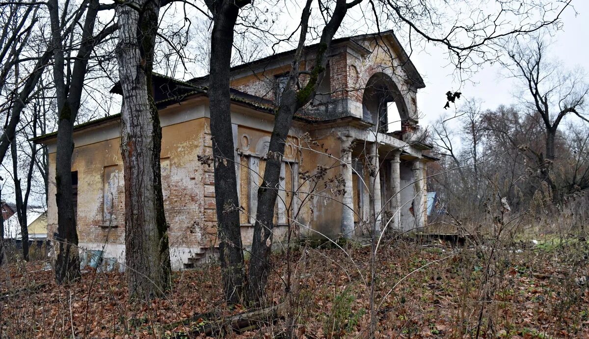 Деревня ляхово. Усадьба Ляхово. Усадьба Ляхово Домодедово. Деревня Ляхово Домодедовский район. Главный дом усадьбы Ляхово.