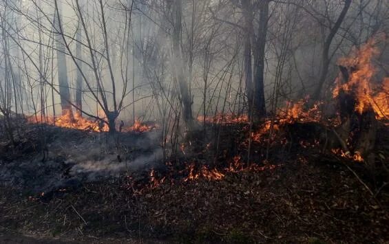 С Долженково Обоянский район Курская область. Пожары в Апальково Золотухинский район. Обоянский вечер.