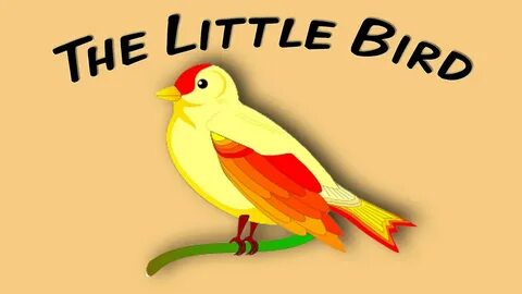 Little birdie