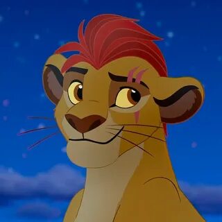 Wink kion