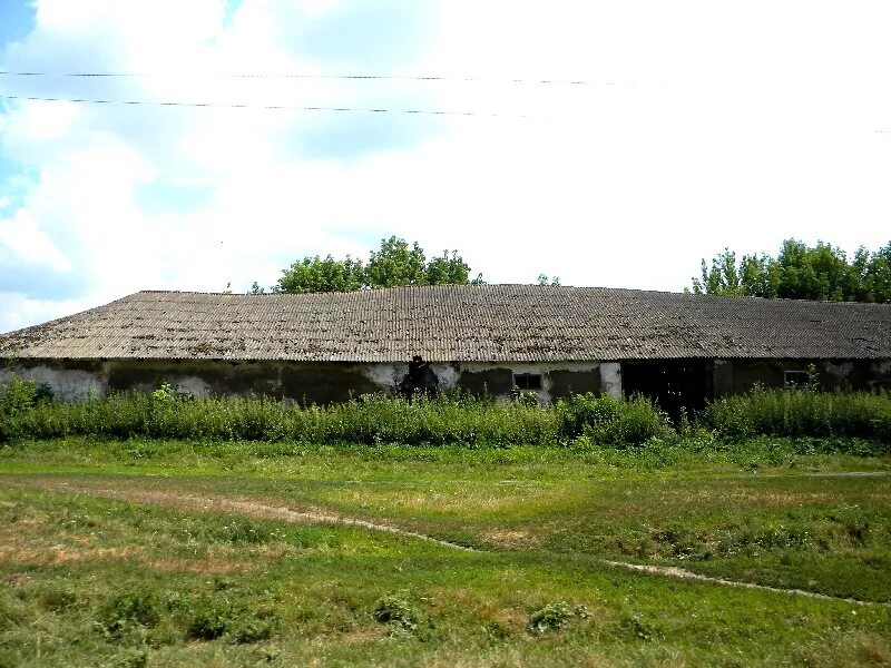 Любимовка село Кореневский район. Курская область Кореневский район. Село Комаровка Курская область Кореневский район. Пушкарное Курская область Кореневский район. Каучук курской области