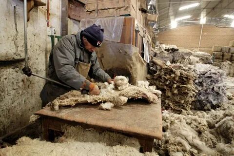 Шерсти обрабатывающий