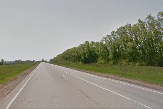 151 дорога. Автодорога дорога а-151 цивильск - ульяновск. трасса ульяновск цивильск а 151. дорога а-151 цивильск ульяновск. трасса ульяновск цивильск.