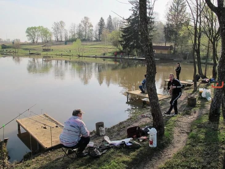 Барыбино рыбалка. Барский ручей Новоселки рыбалка. Атепцево рыбалка платная Новоселки. Платная рыбалка Новоселки Наро-Фоминский. Рыбалка в Новоселках Наро-Фоминский.