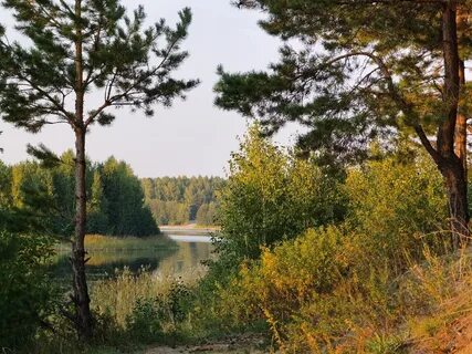 Курганская область м