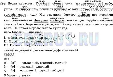 Русский язык 5 класс ладыженская 298