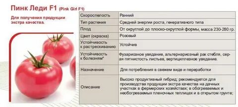 Пинк хорн описание