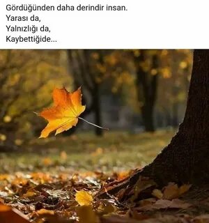 Цитаты про сентябрь