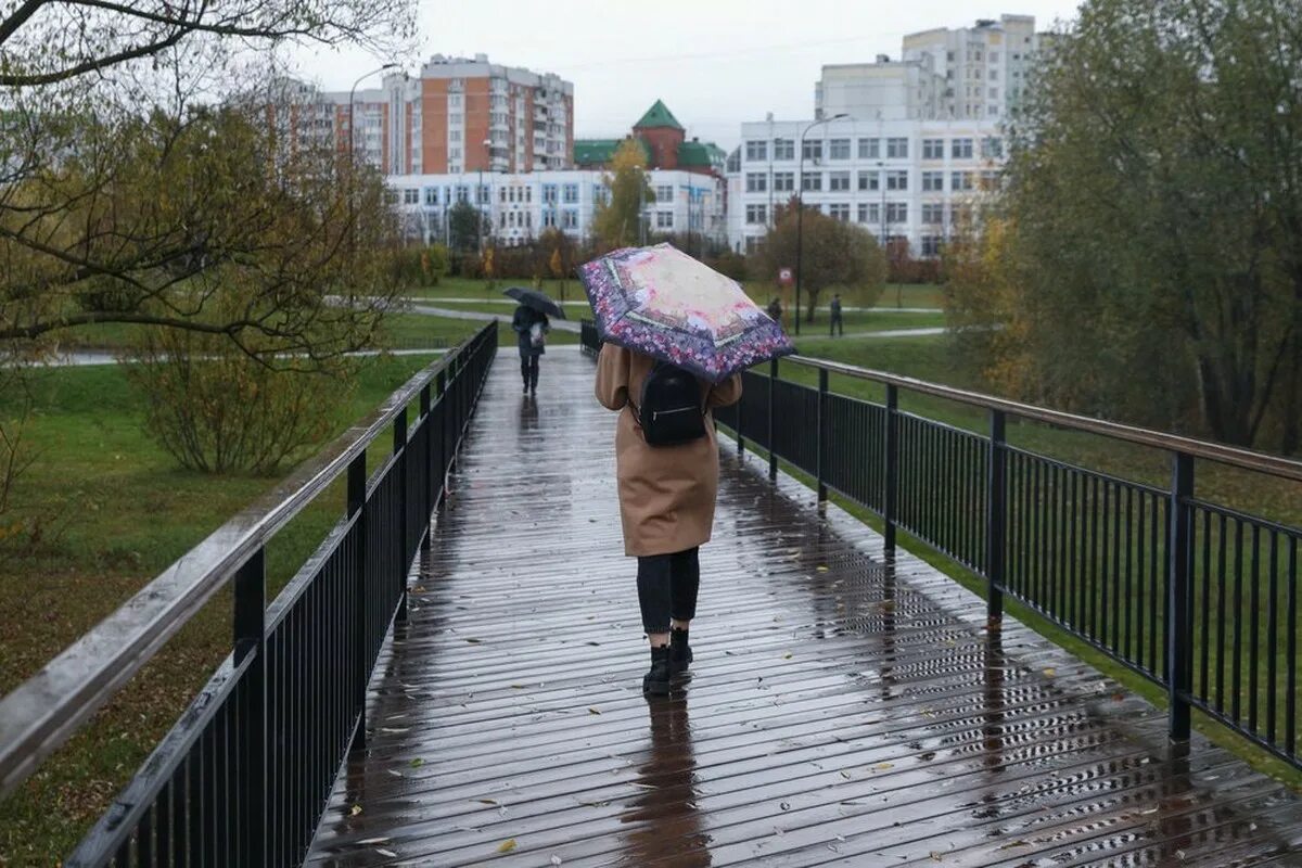 Прогноз погоды в москве южное бутово. Прогноз погоды в москве южное бутово. Прогноз погоды в москве южное бутово. Черневский парк южное бутово. Пожар в южном бутово.