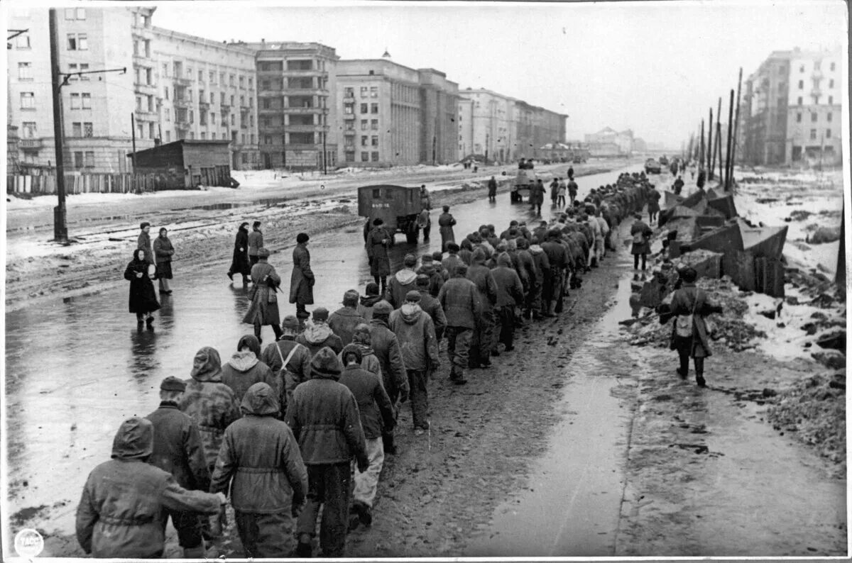 Международная блокада. Московский проспект Ленинграда 1941. Блокадный Ленинград Московский проспект.