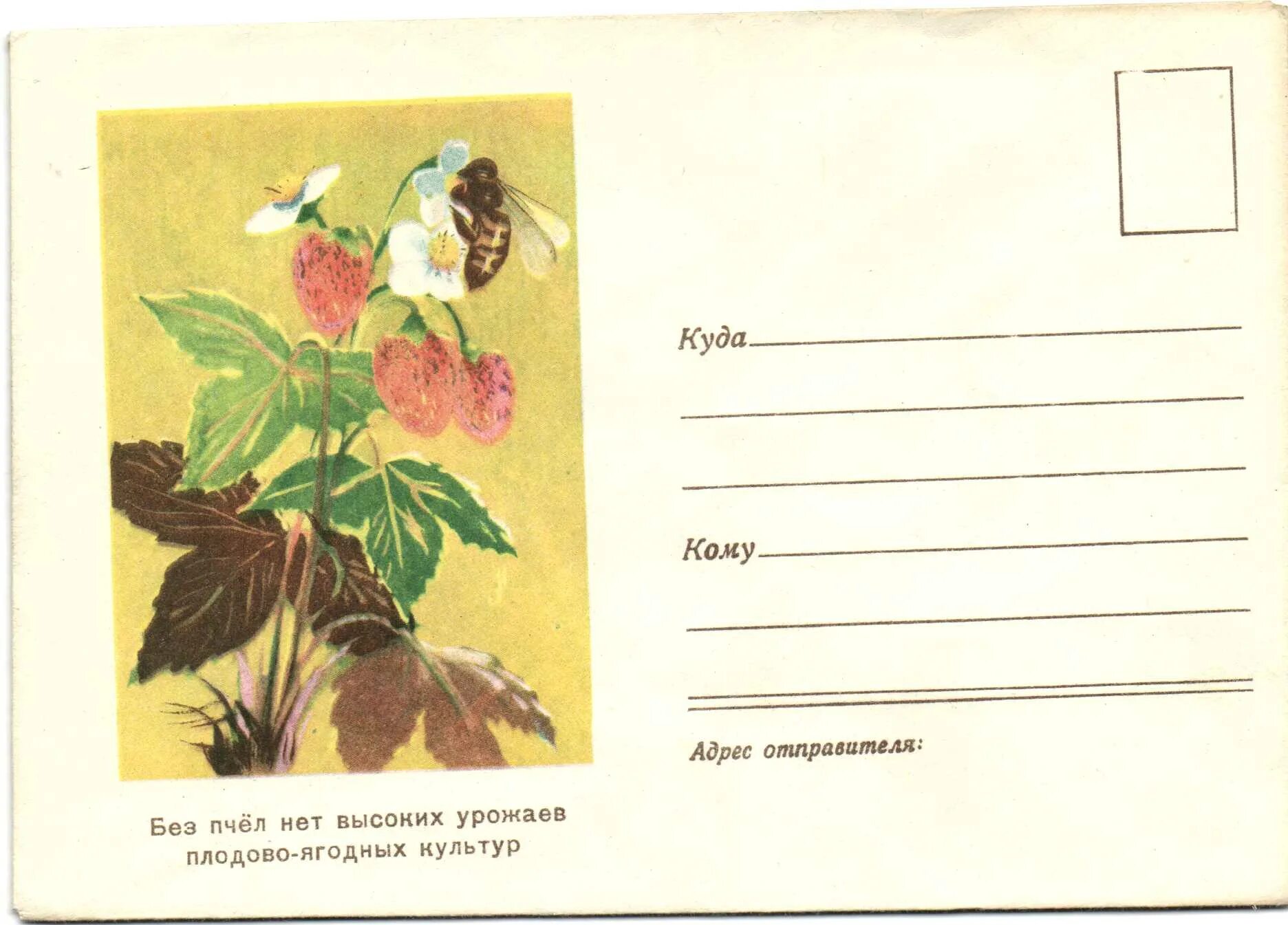 почтовый конверт формата а4. куда кому можно. конверт кому куда. конверт почта россии. художеств почтовый конверт.