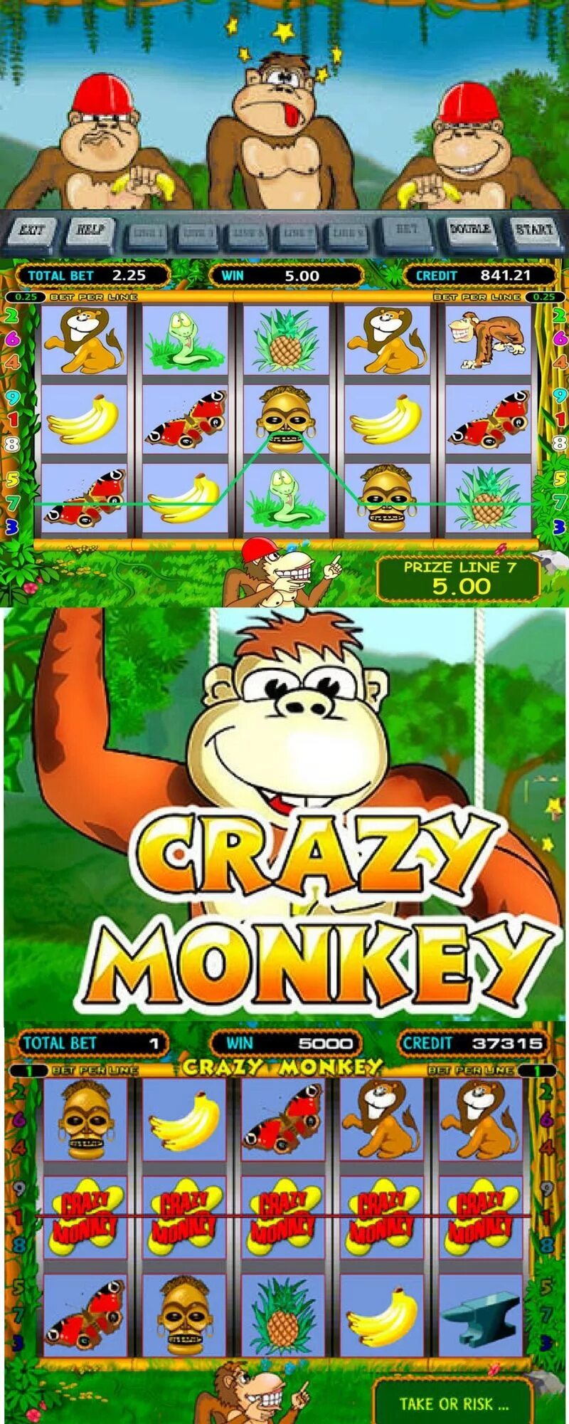 Играть в автоматы макаки. Игровые автоматы Gaminator Grazy Monkey казино. Слот автоматы Crazy Monkey в казино. Игровой автомат обезьянки вулкан.