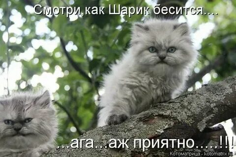 Тогда подумаю