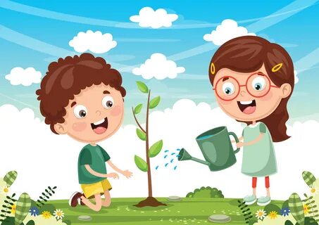 Take care of plants