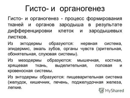 Органогенез