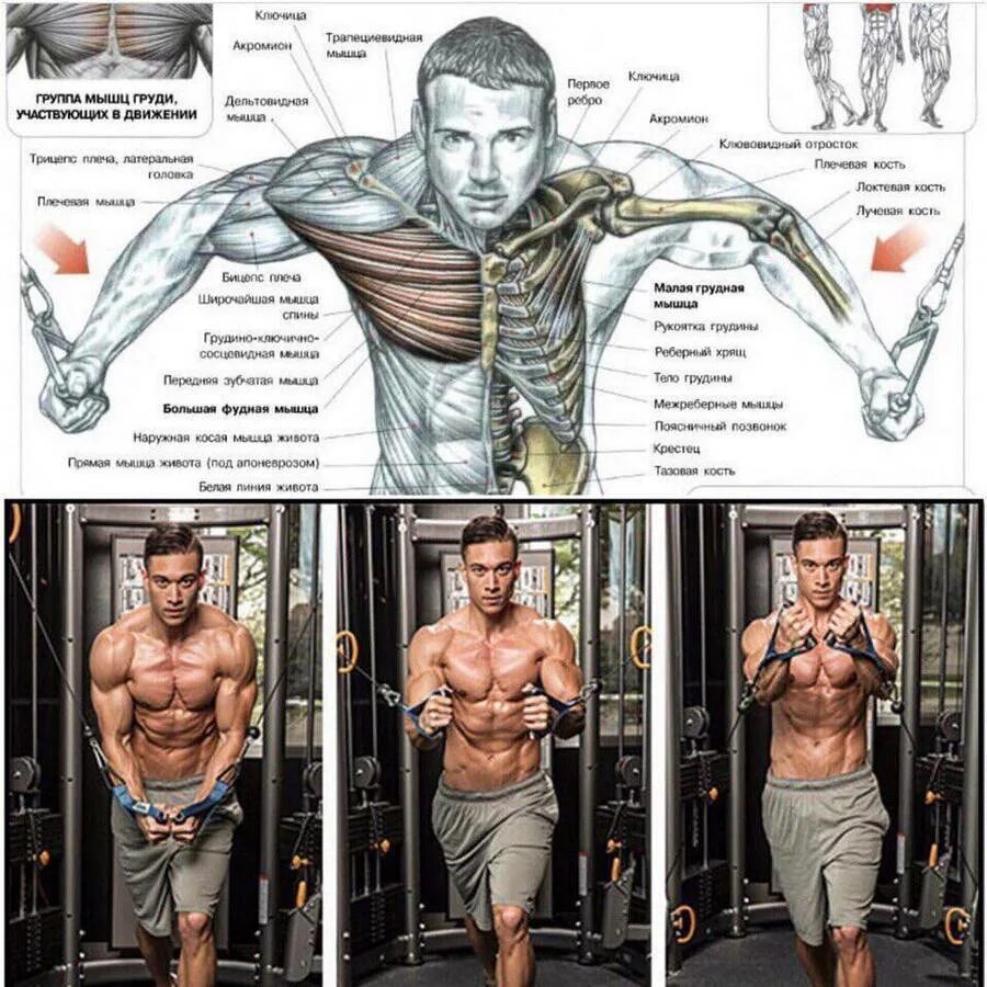 Упражнения на грудные мышцы. Упражнения на грудные мышцы в кроссовере. Упражнения на верх грудных мышц. Верхние грудные мышцы упражнения.