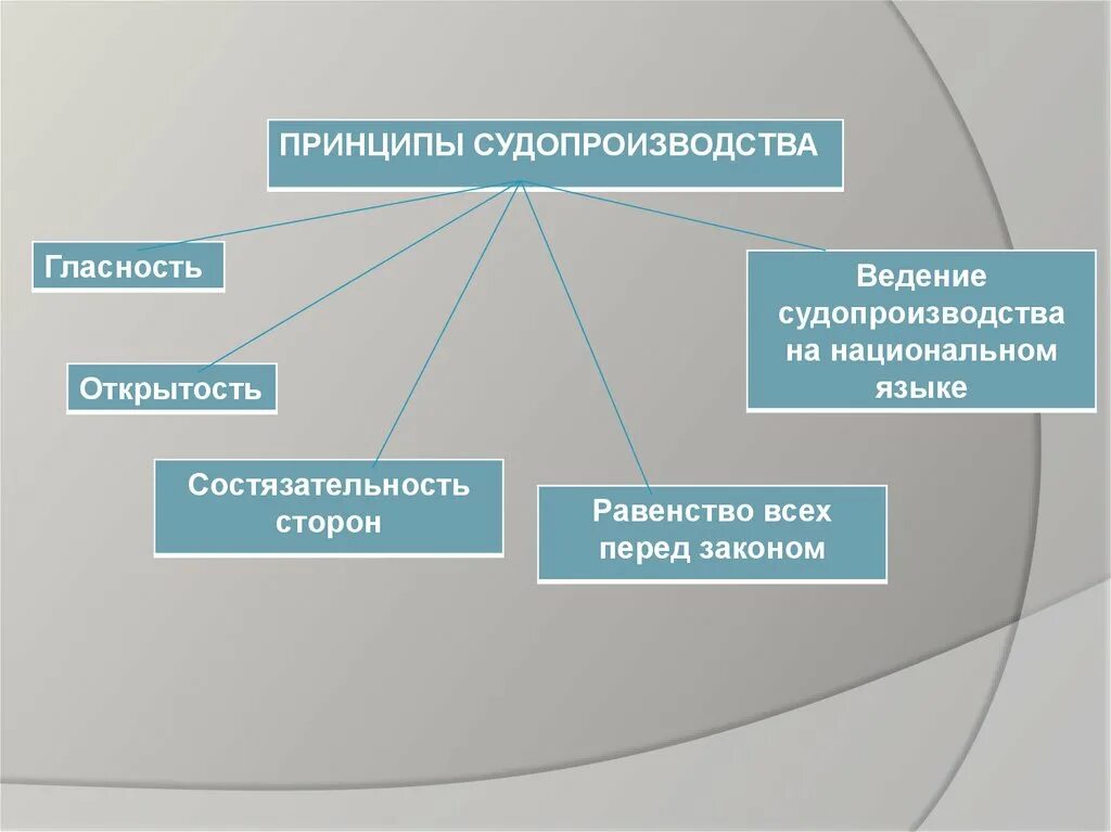 Принципы судопроизводства. Принципы демократического судопроизводства. Принципы судопроизводства схема. Принцип гласности судопроизводства. Назовите принципы судопроизводства