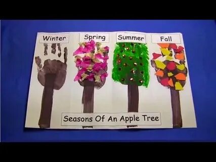 This is apple tree
