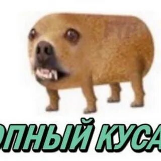Гавкошмыг