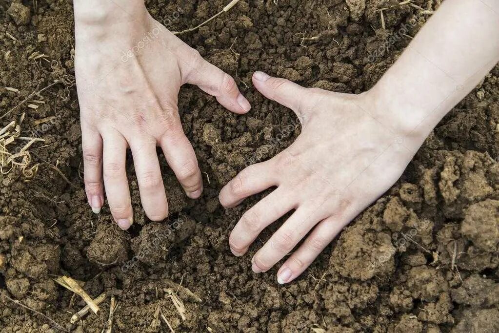 Копается ли земля. Рыть землю руками. Ручная копка земли. Почва в руках человека. Чел копается в земле.